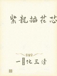 紫龙插花芯方正