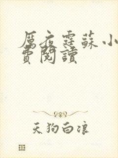 厉夜霆苏小汐免费阅读