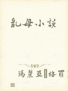 乱母小说