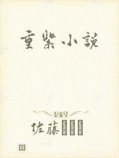 重紫小说