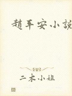 赵平安小说主角