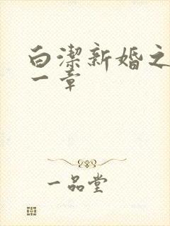 白洁新婚之夜第一章