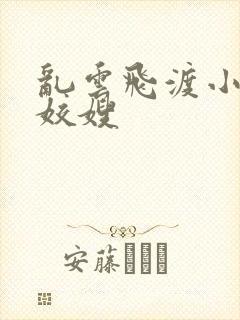 乱云飞渡小说之姣嫂