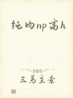 纯肉np高h