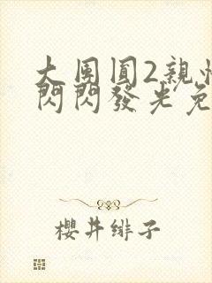 大团圆2亲情会闪闪发光免费