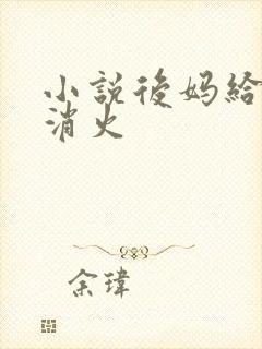 小说后妈给我消消火