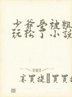 少爷受被粗汉H玩松了小说