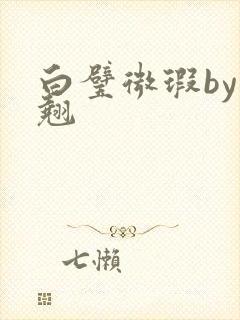 白璧微瑕by连翘