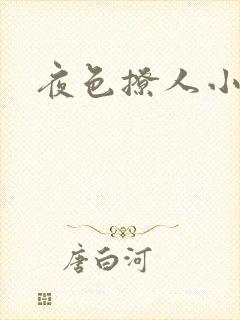 夜色撩人小说