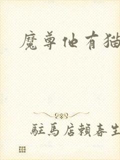 魔尊他有猫了