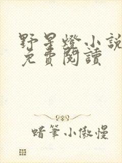 野星灯小说全文免费阅读