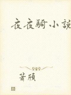 夜夜骑小说