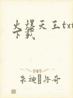 火爆天王txt下载