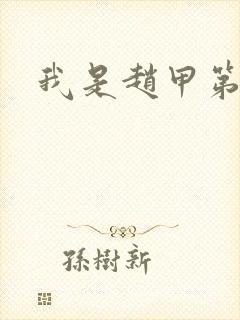 我是赵甲第小说