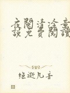 夜阑清冷意欢小说免费阅读