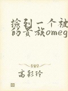 捡到一个被抹布的贵族omega