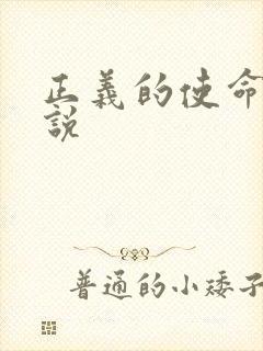 正义的使命 小说