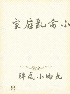 家庭乱仑小说