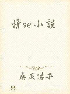 情se小说