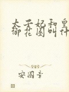 太子妃和皇帝在御花园叫什么小说