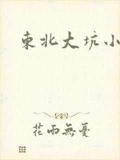 东北大坑小说