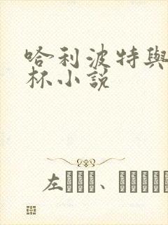 哈利波特与火焰杯小说