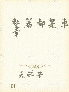 整篇都是车的文章