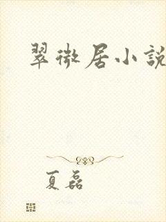 翠微居小说