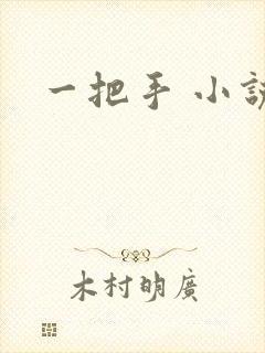 一把手 小说