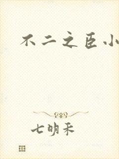 不二之臣小说