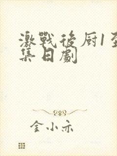 激战后厨1至5集日剧