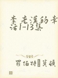 李老汉的幸福生活1-13集