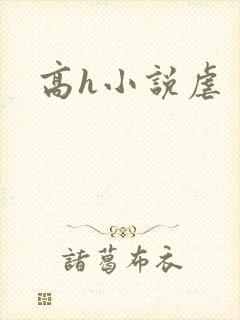 高h小说虐