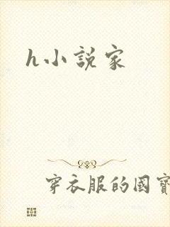 h小说家