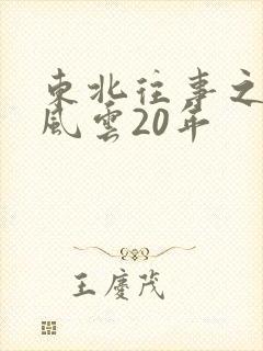 东北往事之黑道风云20年