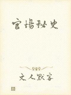 官场秘史