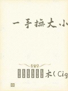 一手抚大小说