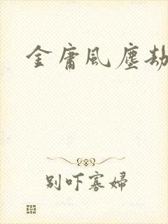 金庸风尘劫