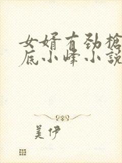 女婿有劲枪枪到底小峰小说