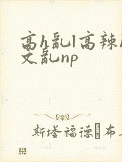 高h乱l高辣h文乱np