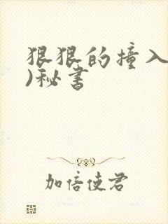 狠狠的撞入(h)秘书