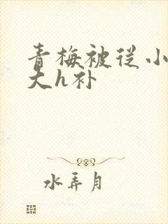 青梅被从小摸到大h补