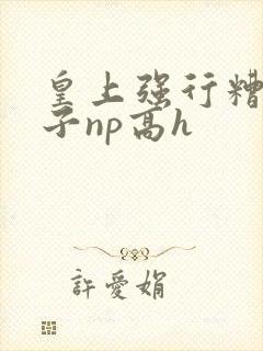 皇上强行糟蹋太子np高h