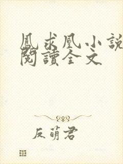 凤求凰小说免费阅读全文