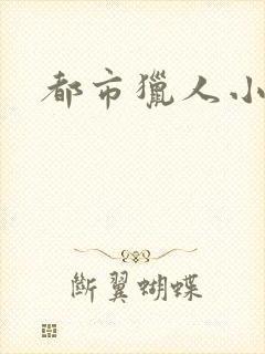 都市猎人小说