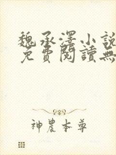 魏承泽小说全文免费阅读无弹窗笔趣