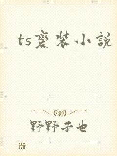 ts变装小说