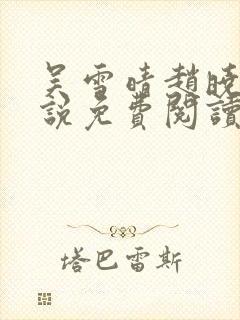 吴雪晴赵晓东小说免费阅读