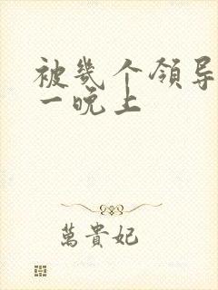 被几个领导玩弄一晚上