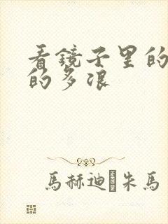 看镜子里的你叫的多浪